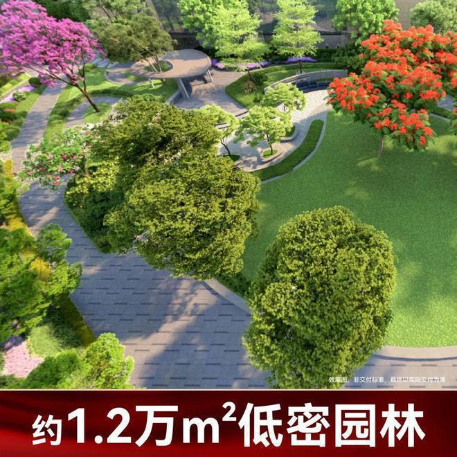 学和中学深业世纪山谷学区是什么学校EVO视讯平台深业世纪山谷有哪些小(图19)